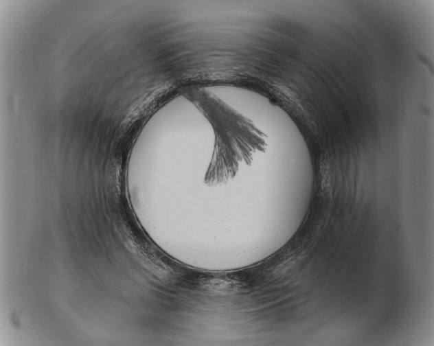 X0000102790542200809081052