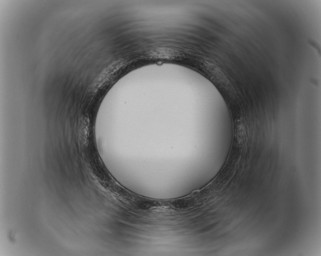 X0000102790544200809081052