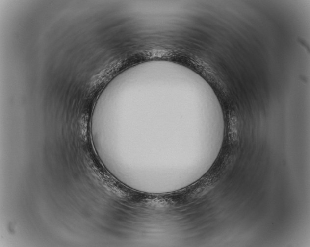 X0000102790545200809081052