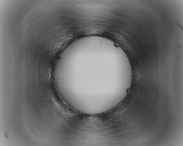 X0000102790546200809081052