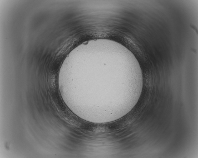 X0000102790549200809081052