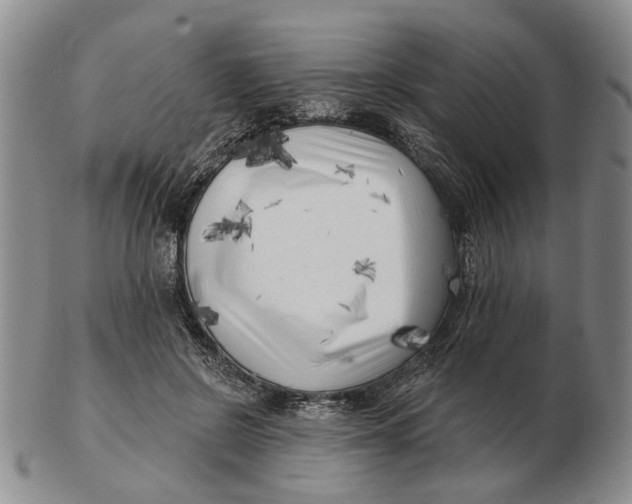 X0000102790550200809081052