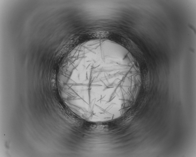 X0000102790553200809081052