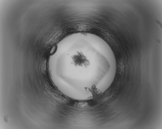 X0000102790554200809081052