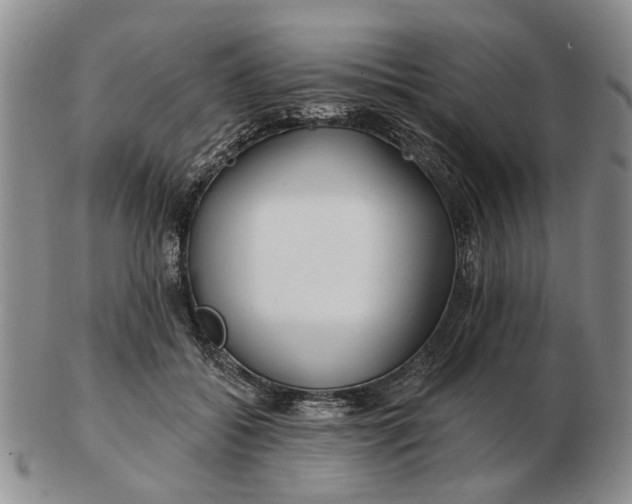 X0000102790556200809081052