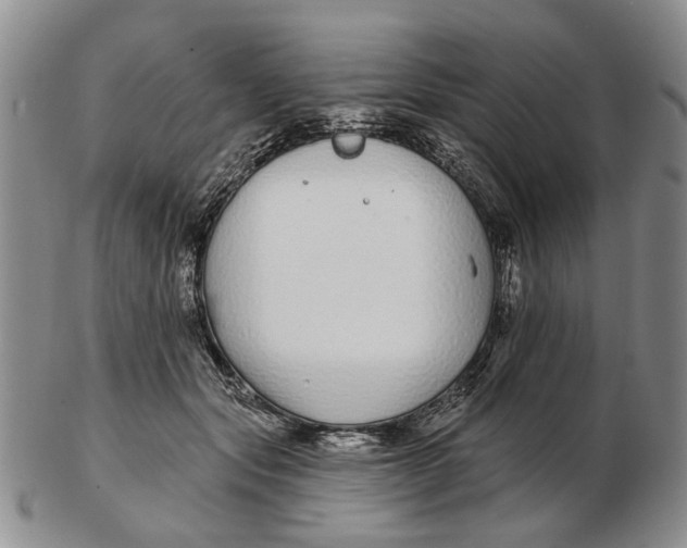 X0000102790557200809081052