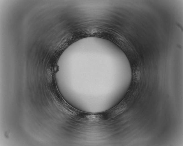 X0000102790558200809081052