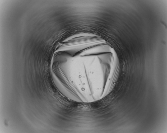 X0000102790559200809081052