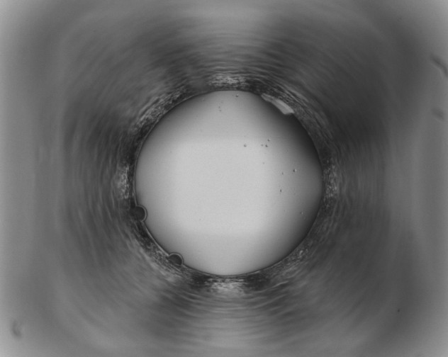 X0000102790560200809081052