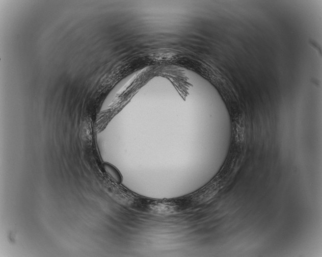 X0000102790561200809081052