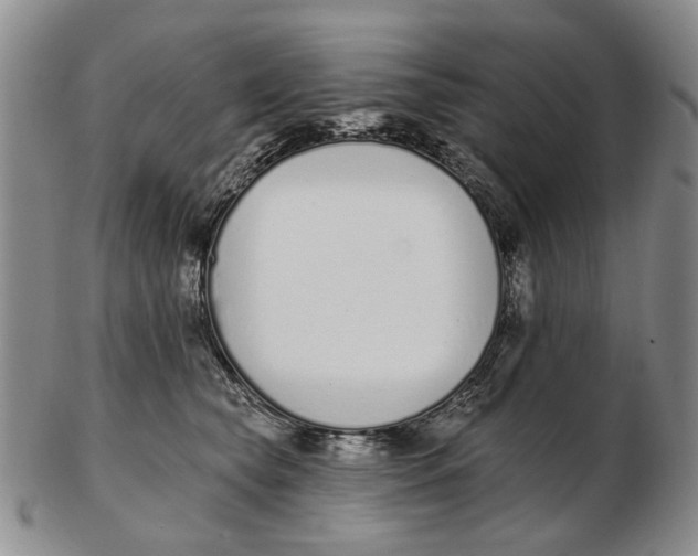 X0000102790565200809081052