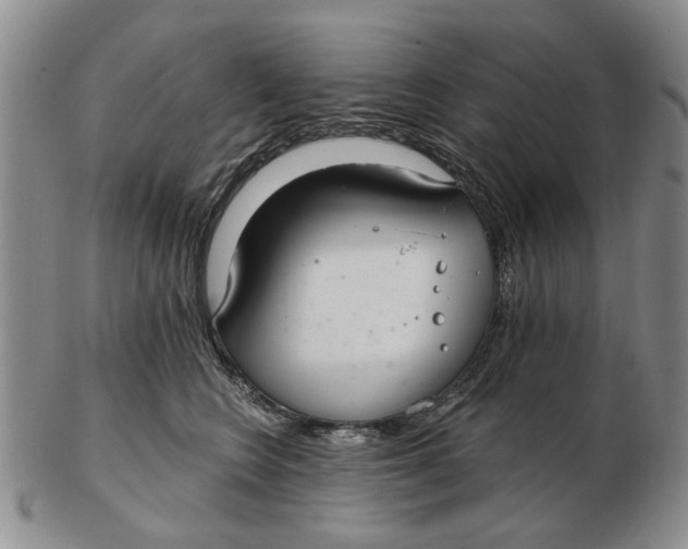 X0000102790566200809081052