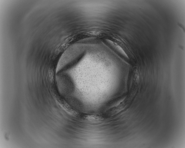 X0000102790568200809081052