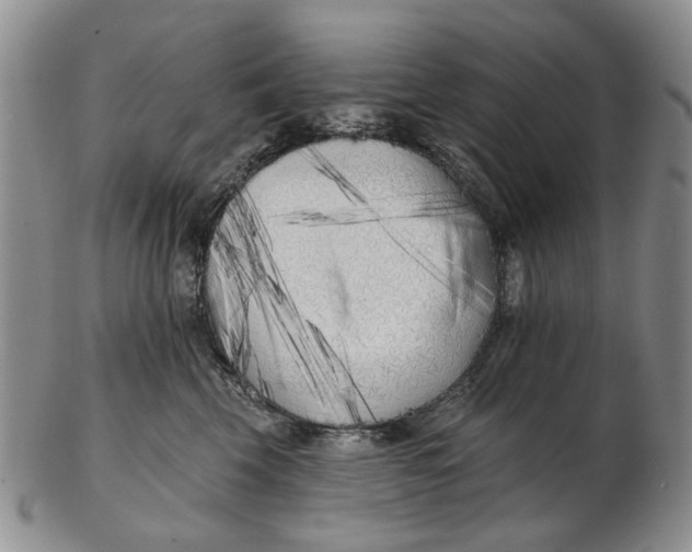 X0000102790569200809081052