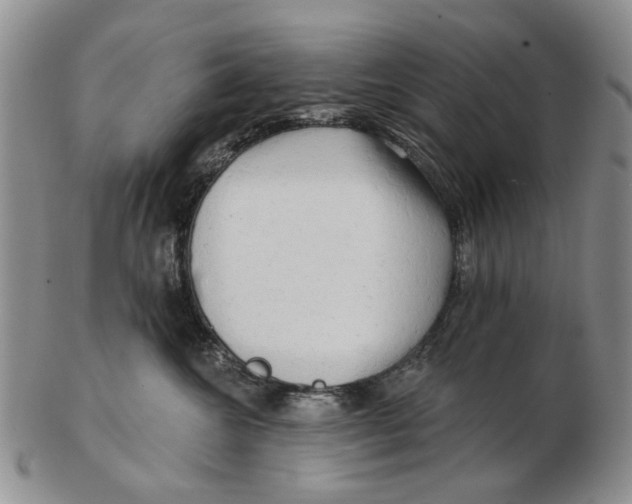 X0000102790572200809081052