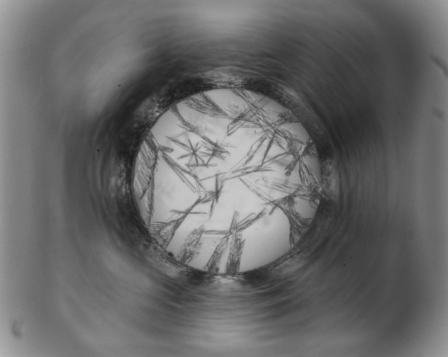 X0000102790573200809081052