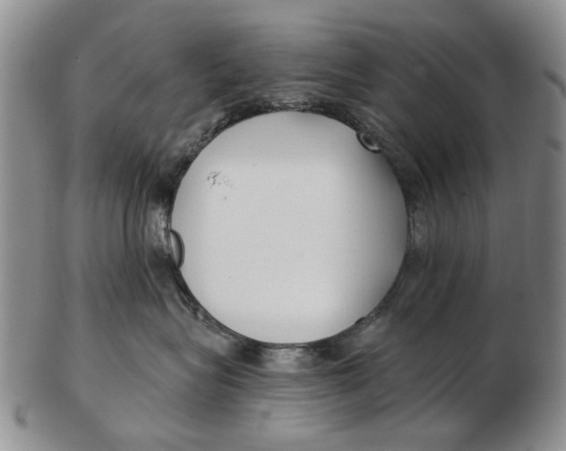 X0000102790575200809081052