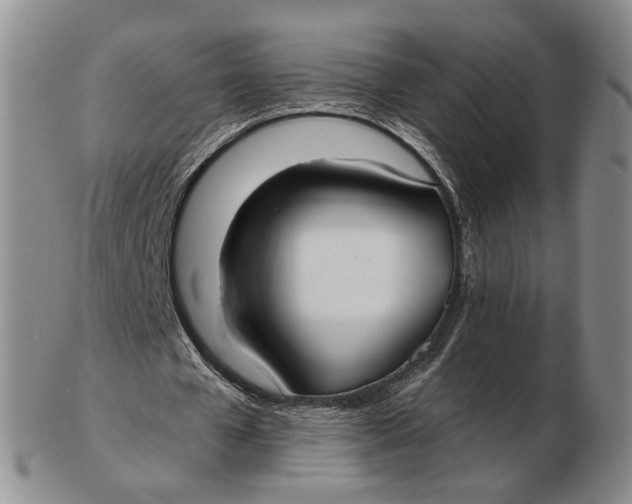 X0000102790577200809081051