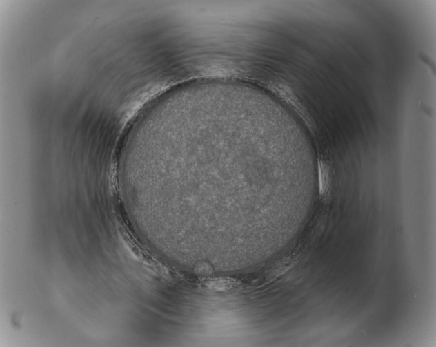 X0000102790579200809081051