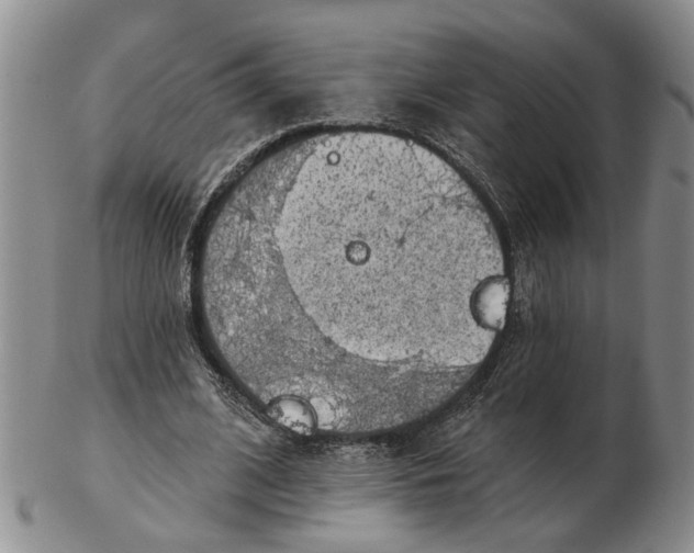 X0000102790584200809081051