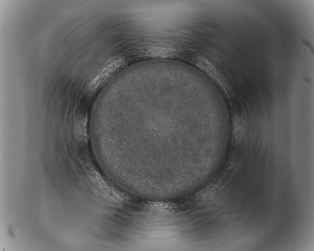 X0000102790585200809081051