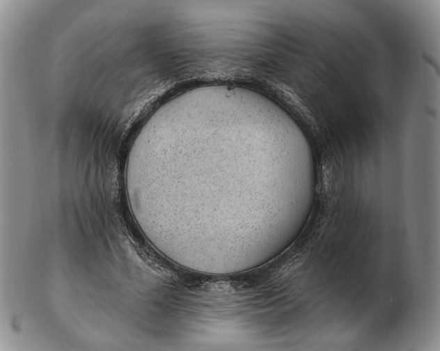 X0000102790588200809081051