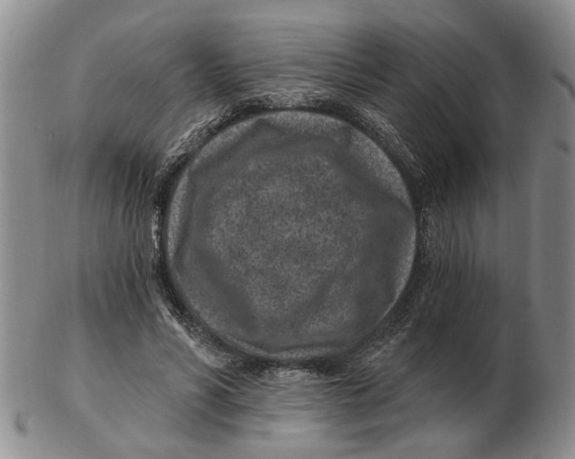 X0000102790590200809081051