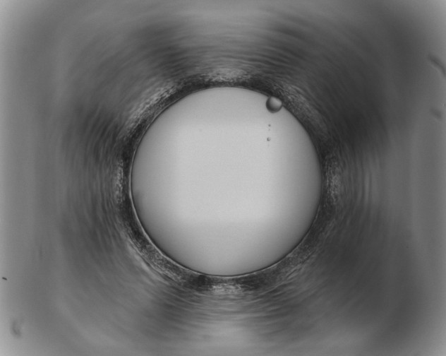 X0000102790591200809081051