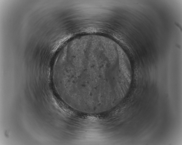 X0000102790592200809081051