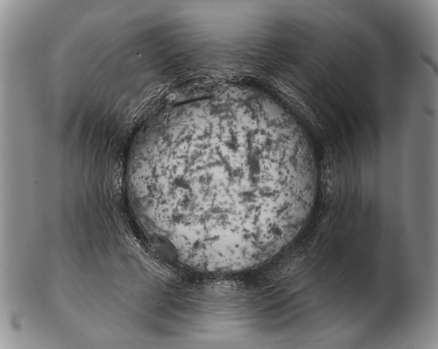 X0000102790593200809081051