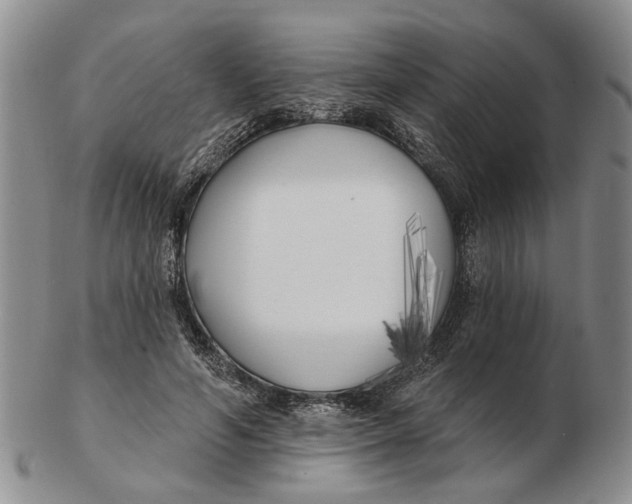 X0000102790594200809081051