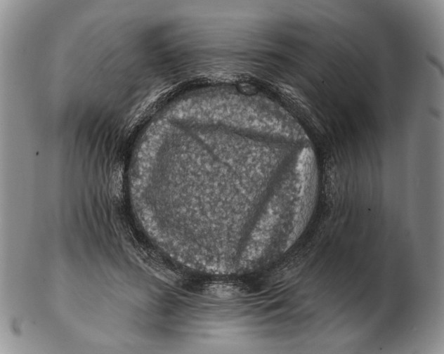 X0000102790596200809081051