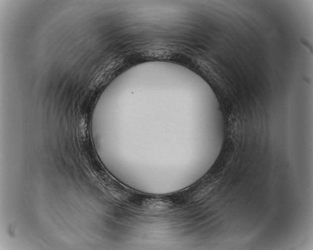 X0000102790597200809081051