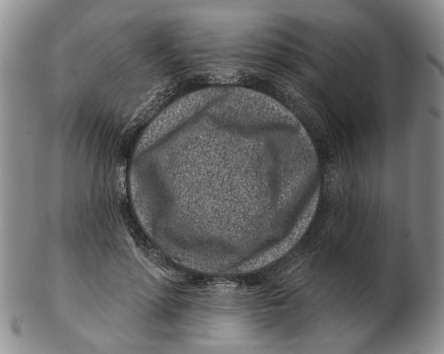 X0000102790598200809081051