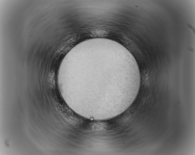 X0000102790599200809081051