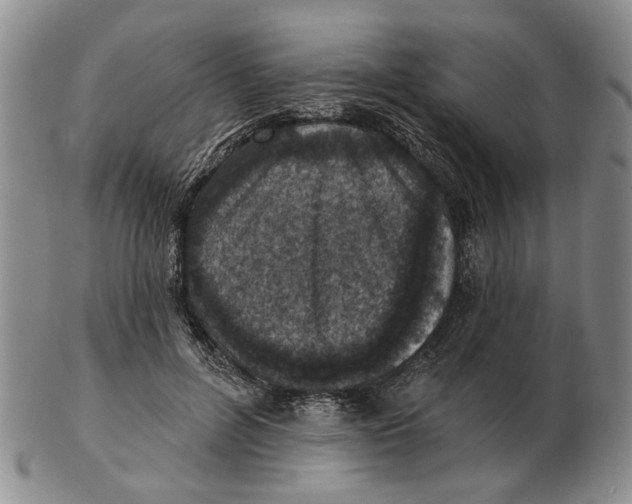 X0000102790600200809081051