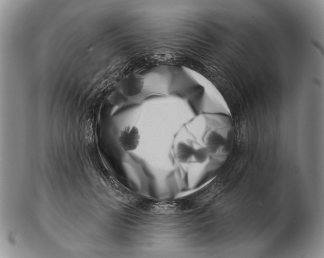 X0000102790606200809081051