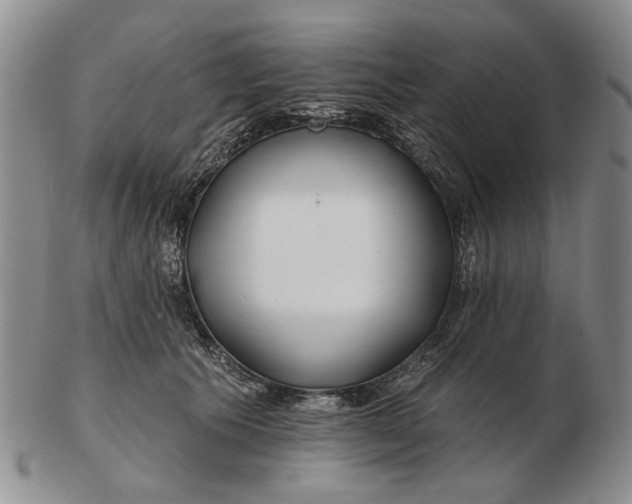 X0000102790609200809081051