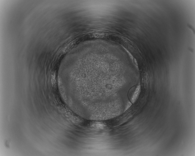 X0000102790610200809081051