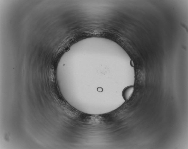 X0000102790612200809081051