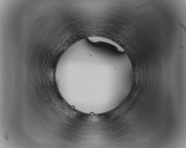 X0000102790613200809081051