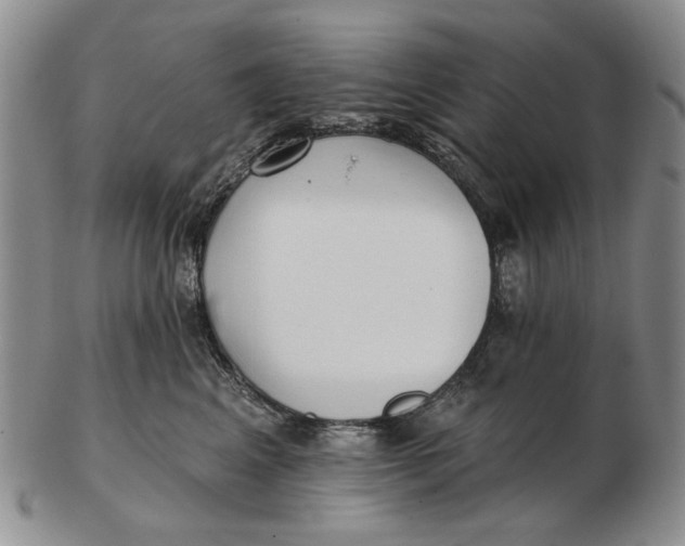 X0000102790617200809081051