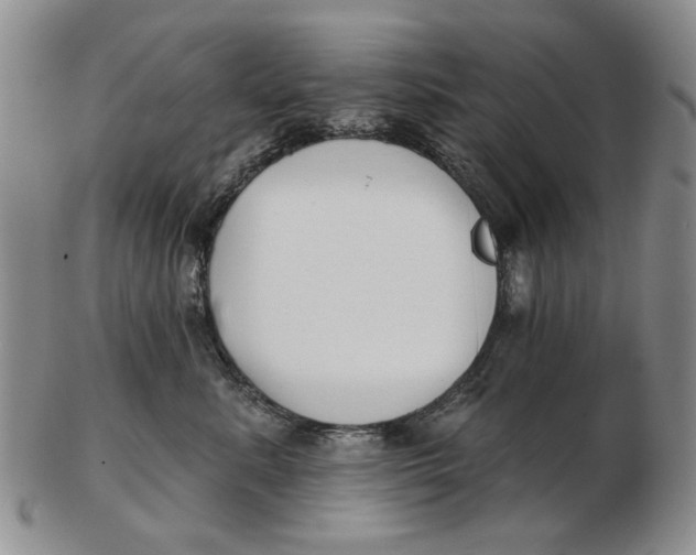 X0000102790619200809081051