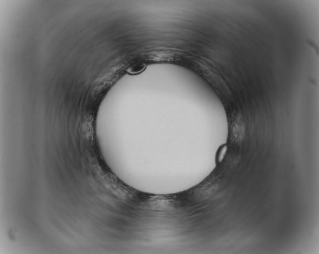 X0000102790620200809081051