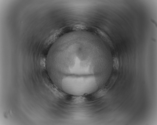 X0000102790621200809081051