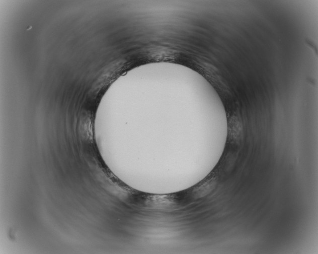 X0000102790622200809081051