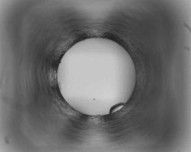 X0000102790624200809081051