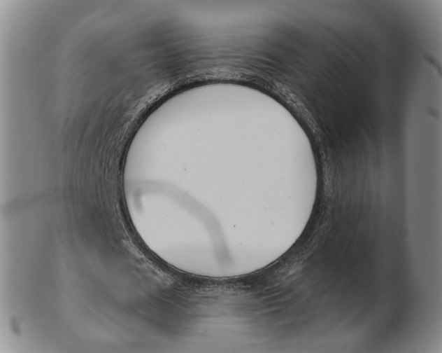 X0000102790625200809081050