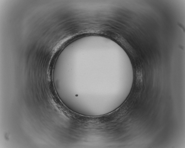 X0000102790628200809081050