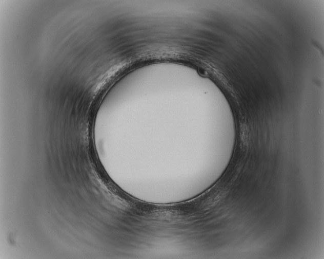 X0000102790629200809081050